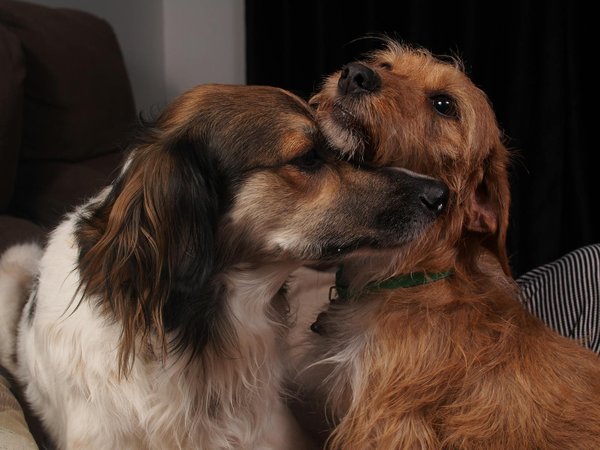 Die besten wathosen: komfort und funktionalität vereint